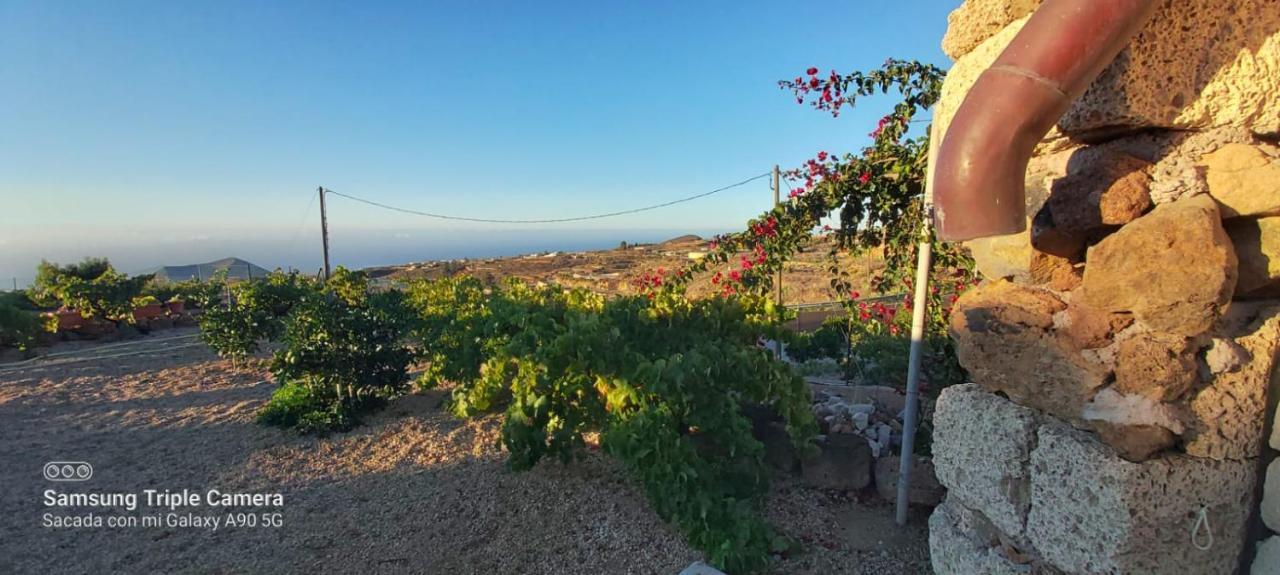 Casa Luis Pico Villa Granadilla de Abona Kültér fotó